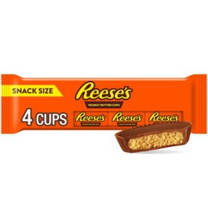REESE CARMEL CUP SNACK SIZE 4PK WHOLESALE