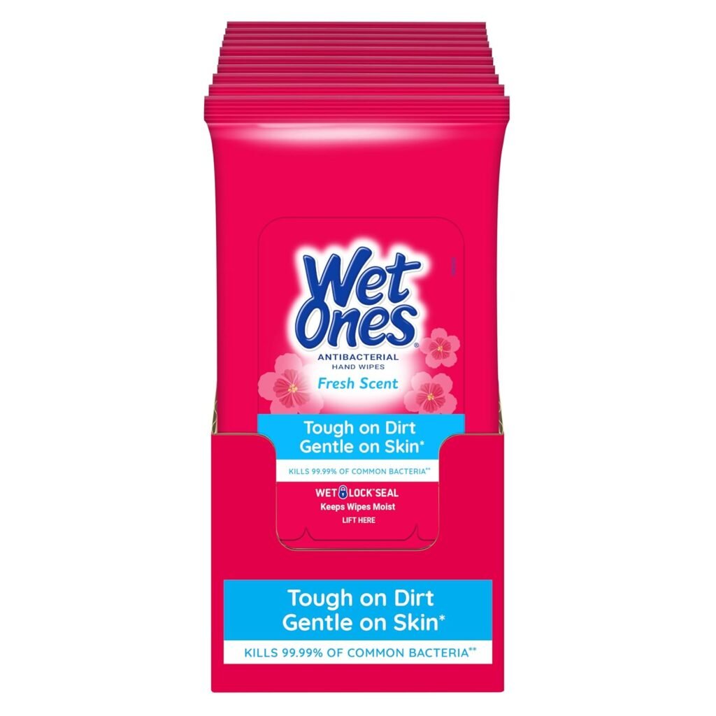 Wet Ones Antibacterial Hand Wipes Case 10CT WHOLESALE