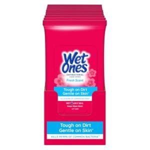 Wet Ones Antibacterial Hand Wipes Case 10CT WHOLESALE