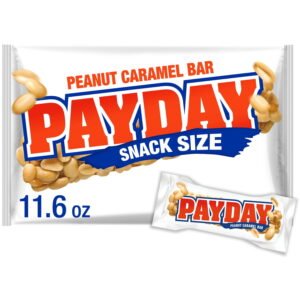 Payday Party Size Bag 11.6oz WHOLESALE